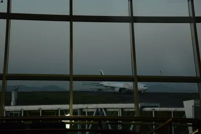 DSC_7458 (Large).JPG